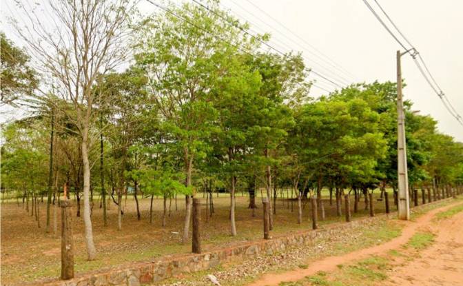 Land Lot for Sale Itaugua 110606, Itaugua. Photo#4 Land Lot for Sale Itaugua 110606, Itaugua. Photo#4