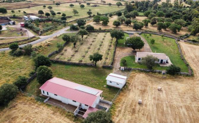 Casa unifamiliar à venda - Abbasanta, Italy