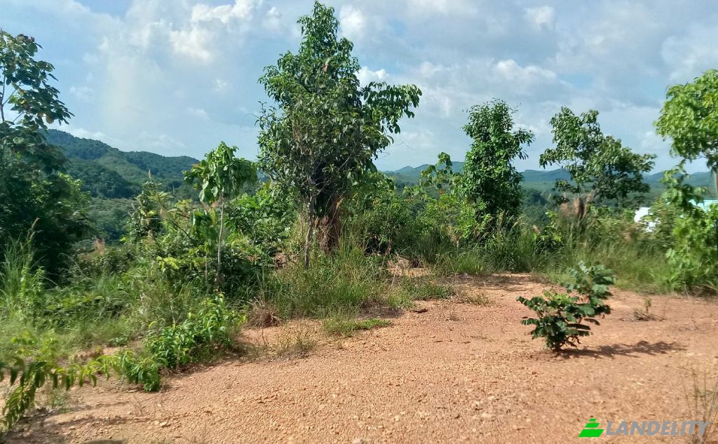 Land/Lot for Sale Tambon Lo Yung, Amphoe Takua Thung, Chang Wat Phang-nga 82140, Lo Yung, Takua Thung District, Phang-nga, Thailand. Photo 2