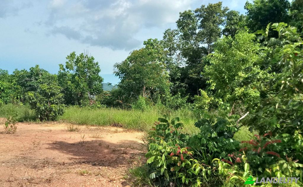 Land/Lot for Sale Tambon Lo Yung, Amphoe Takua Thung, Chang Wat Phang-nga 82140, Lo Yung, Takua Thung District, Phang-nga, Thailand. Photo 3