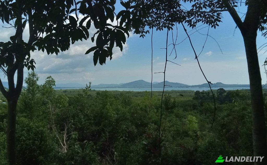 Land/Lot for Sale Tambon Lo Yung, Amphoe Takua Thung, Chang Wat Phang-nga 82140, Lo Yung, Takua Thung District, Phang-nga, Thailand. Photo 1