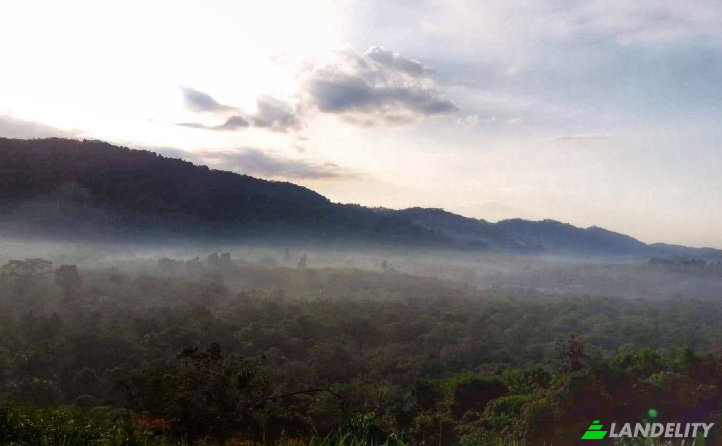 Land/Lot for Sale Tambon Lo Yung, Amphoe Takua Thung, Chang Wat Phang-nga 82140, Lo Yung, Takua Thung District, Phang-nga, Thailand. Photo 4