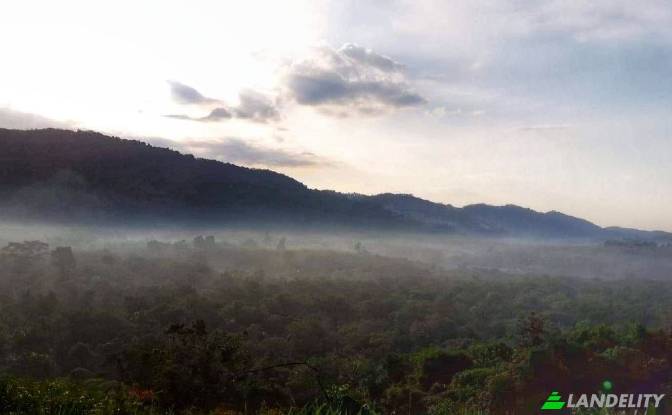 Land for Sale Tambon Lo Yung, Amphoe Takua Thung. Photo#4 Land for Sale Tambon Lo Yung, Amphoe Takua Thung. Photo#4