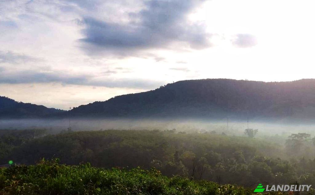 Land/Lot for Sale Tambon Lo Yung, Amphoe Takua Thung, Chang Wat Phang-nga 82140, Lo Yung, Takua Thung District, Phang-nga, Thailand. Photo 5