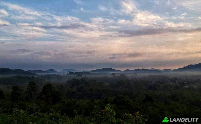 Land for Sale Tambon Lo Yung, Amphoe Takua Thung. Photo#6 Land for Sale Tambon Lo Yung, Amphoe Takua Thung. Photo#6