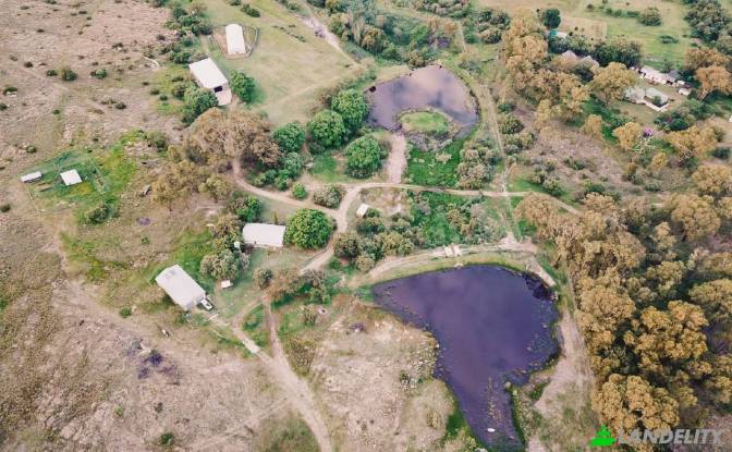 House for Sale Boons, Bojanala, North West. Photo#4 House for Sale Boons, Bojanala, North West. Photo#4