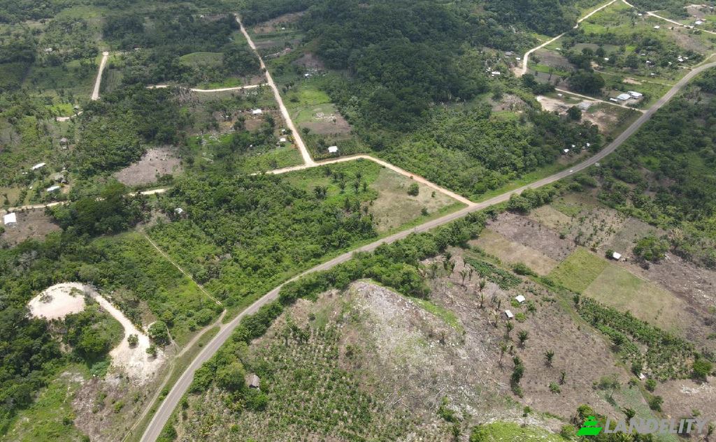 Land/Lot for Sale Hummingbird Hwy, Armenia, Cayo District, Belize. Photo 1