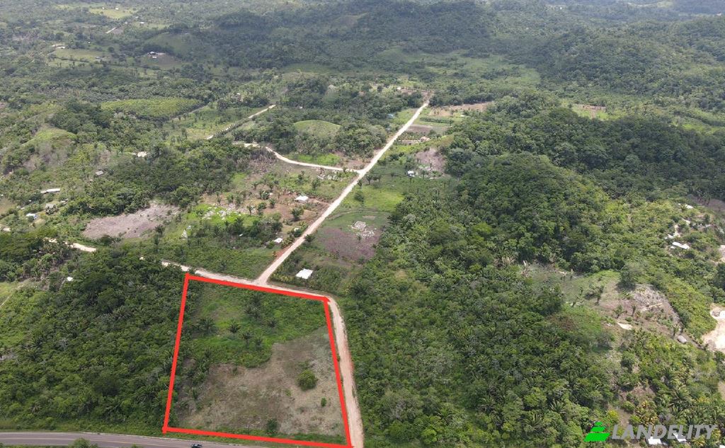 Land/Lot for Sale Hummingbird Hwy, Armenia, Cayo District, Belize. Photo 2