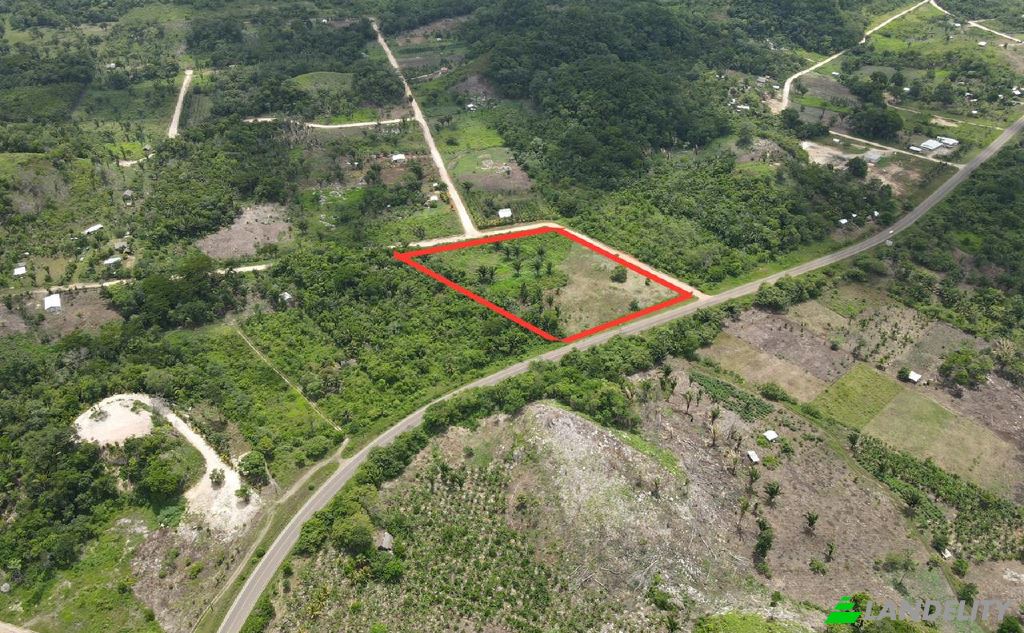 Land/Lot for Sale Hummingbird Hwy, Armenia, Cayo District, Belize. Photo 3