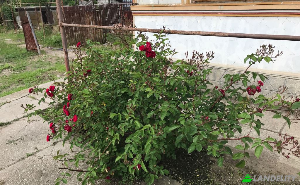 Односімейний будинок продаж Maruntisu, Costestii din Vale, Dambovita, Romania. Фото 1