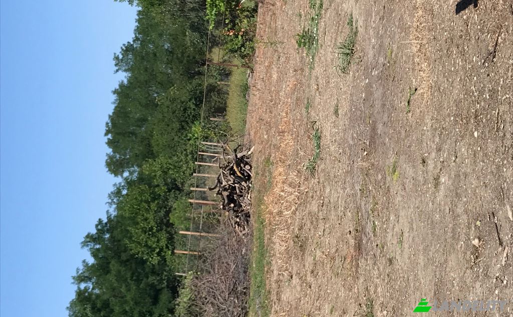 Односімейний будинок продаж Maruntisu, Costestii din Vale, Dambovita, Romania. Фото 8