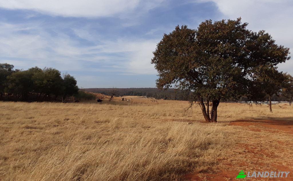 Земля/Ділянка продаж Schoongezicht AH, Sedibeng District Municipality, Gauteng, South Africa. Фото 8