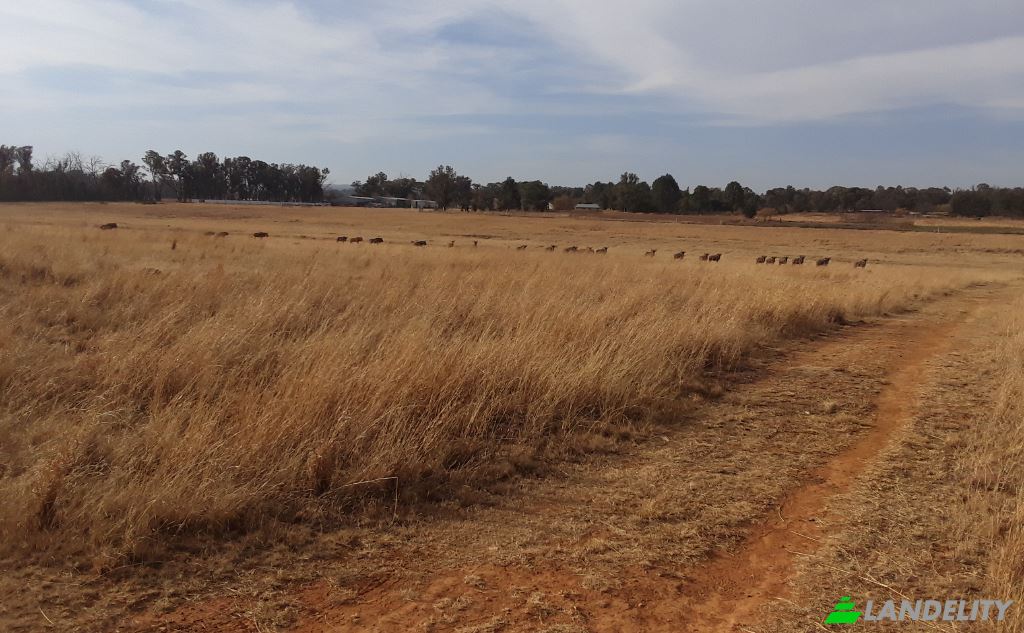 Земля/Ділянка продаж Schoongezicht AH, Sedibeng District Municipality, Gauteng, South Africa. Фото 9