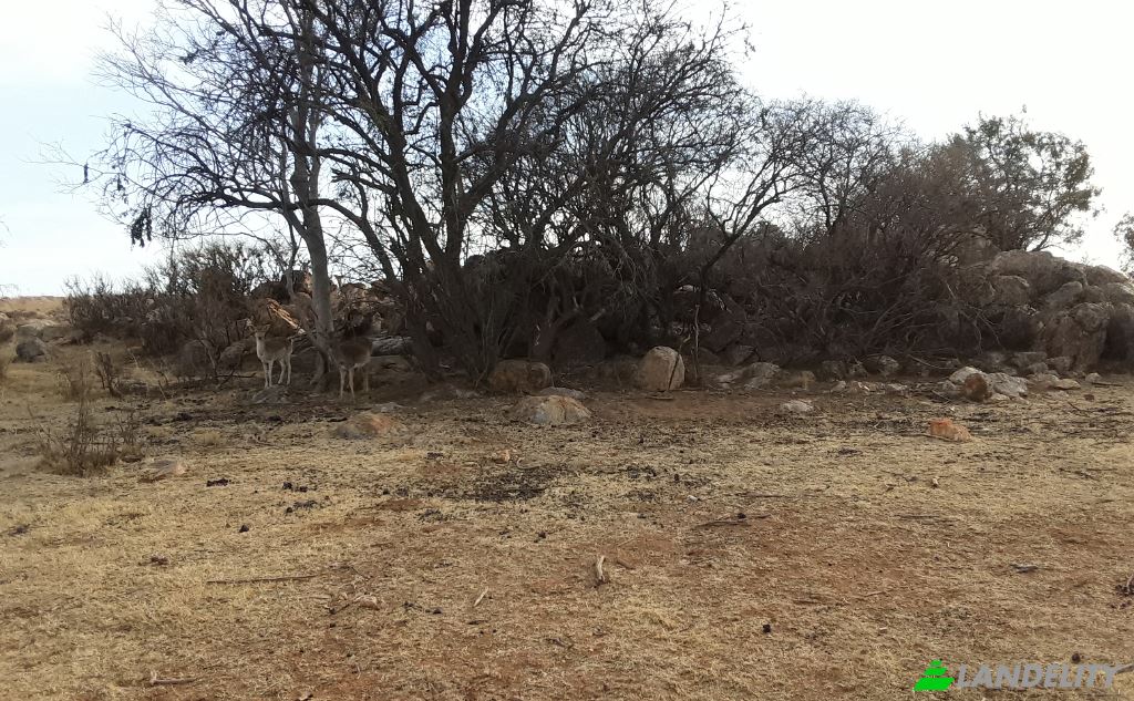 Земля/Ділянка продаж Schoongezicht AH, Sedibeng District Municipality, Gauteng, South Africa. Фото 11