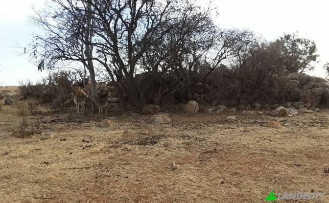 Земля/Ділянка продаж Schoongezicht AH. Фото#11