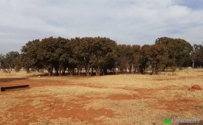 Земля/Ділянка продаж Schoongezicht AH. Фото#12