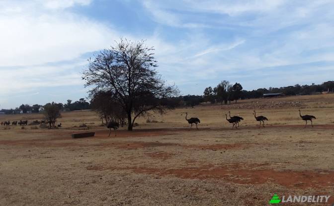 Земля/Ділянка продаж Schoongezicht AH. Фото#14