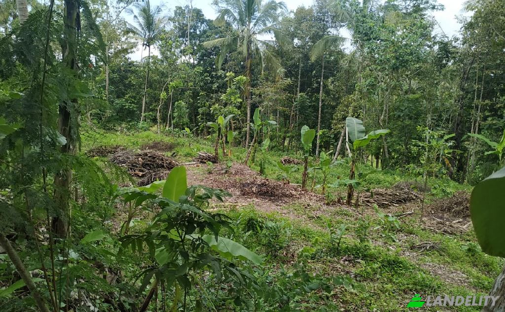 Land/Lot for Sale Jl Mayor Unus, Kemaran, Jogonegoro, Kec Mertoyudan, Kabupaten Magelang, Jawa Tengah 56172, Mertoyudan, Magelang Regency, Central Java, Indonesia. Photo 1