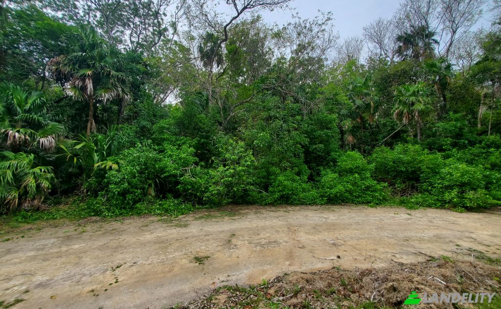 Land/Lot for Sale Liana Glade, Consejo, Corozal District, Belize. Photo 1