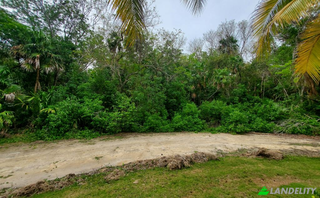 Land/Lot for Sale Liana Glade, Consejo, Corozal District, Belize. Photo 2
