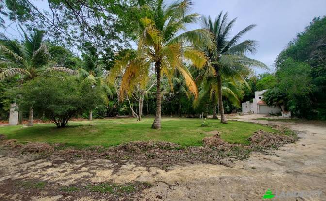 Land/Lot for Sale Liana Glade, Consejo. Photo#3 Land/Lot for Sale Liana Glade, Consejo. Photo#3