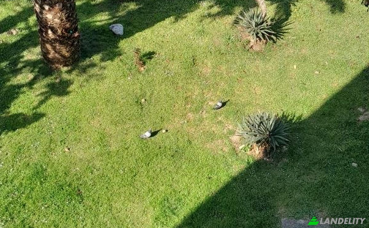 Apartment for Sale a1 Bulevar Revolucije, Bar, Bar Municipality, Montenegro. Photo 6
