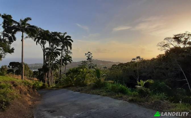 Земля/Ділянка продаж Cor James, Roberts St. Фото#7