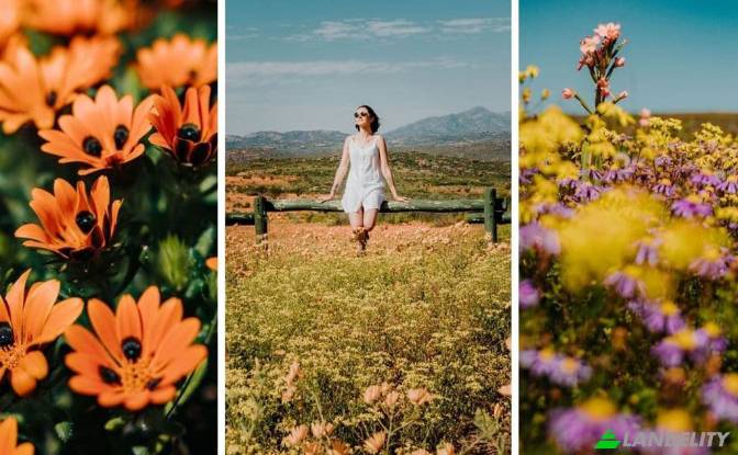Земля/Ділянка продаж Loeriesfontein. Фото#4