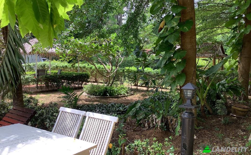 Land/Lot for Sale Soi Khokmakham, Tambon Rawai, Amphoe Mueang Phuket, Chang Wat Phuket 83130, Rawai, Mueang Phuket District, Phuket, Thailand. Photo 6