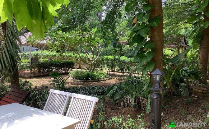 Land/Lot for Sale Soi Khokmakham, Tambon Rawai. Photo#6 Land/Lot for Sale Soi Khokmakham, Tambon Rawai. Photo#6