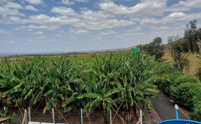 Bauernhof/Ranch zu verkaufen - Emali, Kenya