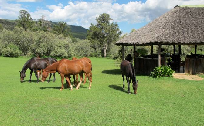 Grondperceel Te koop Melewa, Naivasha. Foto#3