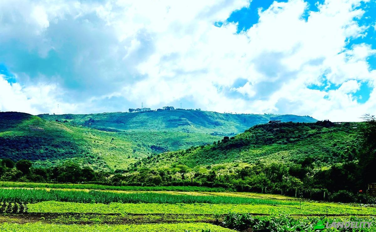 Grondperceel Te koop Melewa, Naivasha, Nakuru County, Kenya. Foto 7