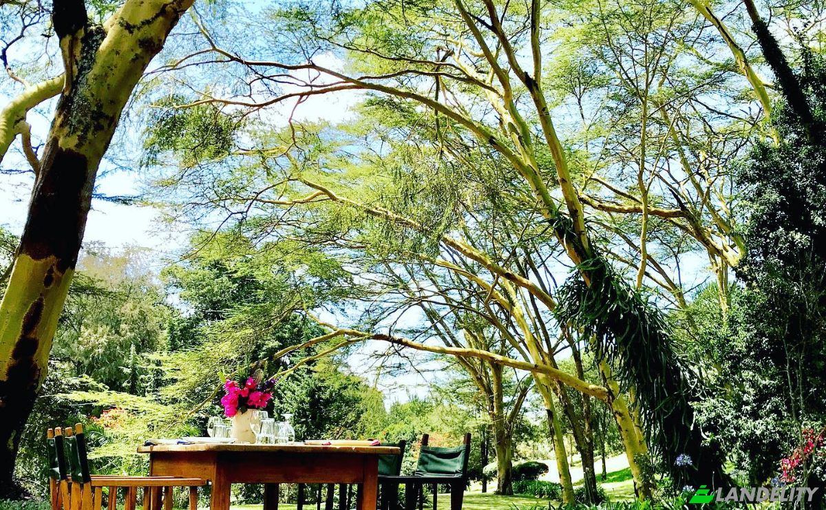 Grondperceel Te koop Melewa, Naivasha, Nakuru County, Kenya. Foto 8