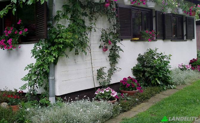 Single Family Home for Sale Neimenovana cesta. Photo#14 Single Family Home for Sale Neimenovana cesta. Photo#14