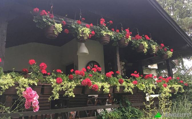 Single Family Home for Sale Neimenovana cesta. Photo#10 Single Family Home for Sale Neimenovana cesta. Photo#10