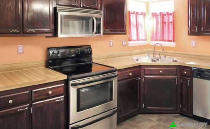 Single Family Home for Rent Mockingbird Cir. Photo#14