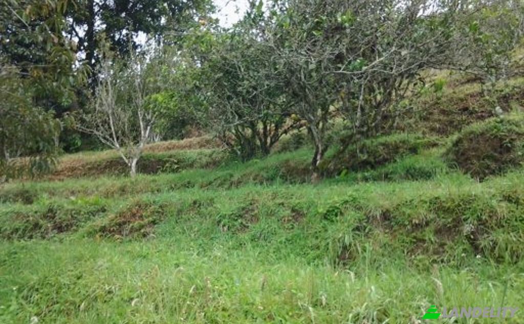 Single Family Home for Sale Via sin nombre, Banos, Banos Canton, Tungurahua, Ecuador. Photo 7