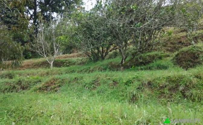 Single Family Home for Sale Via sin nombre, Banos. Photo#7 Single Family Home for Sale Via sin nombre, Banos. Photo#7