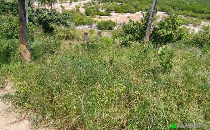 Terreno/Lotto in vendita Mombasa, Kisauni. Foto#2