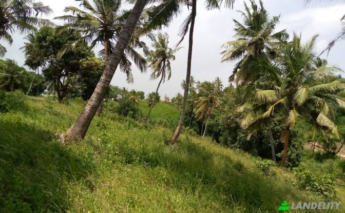 Land/Lot for Sale Mombasa, Kisauni, Mombasa County. Photo#7