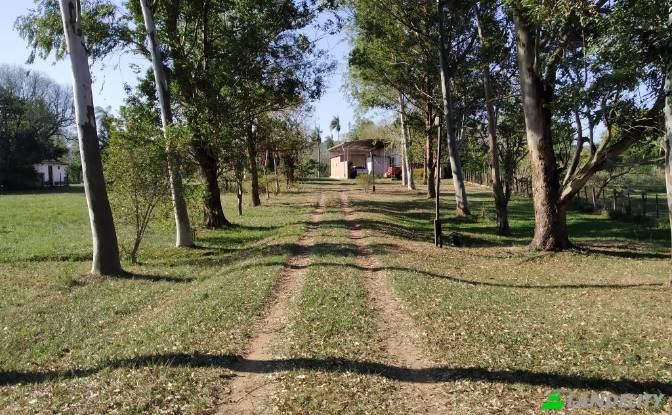 Land/Lot for Sale De Mayo, Cerro Ice, Acahay. Photo#3 Land/Lot for Sale De Mayo, Cerro Ice, Acahay. Photo#3