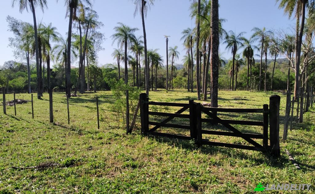 Land/Lot for Sale De Mayo, Cerro Ice, Acahay, Paraguari Department, Paraguay. Photo 10