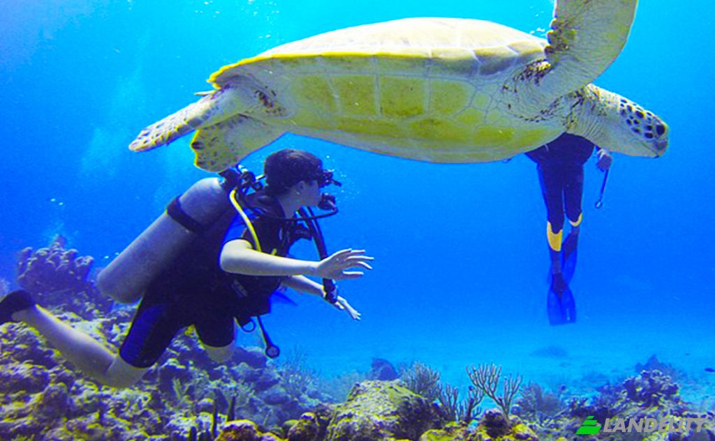 Land/Lot for Sale Organos 20840, Nuro, Talara Province, Piura, Peru. Photo 2