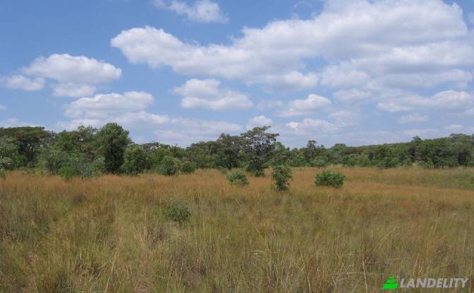 Land/Lot for Sale Waterberg District Municipality. Photo#13