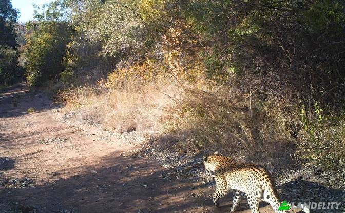 Land/Lot for Sale Waterberg District Municipality. Photo#16