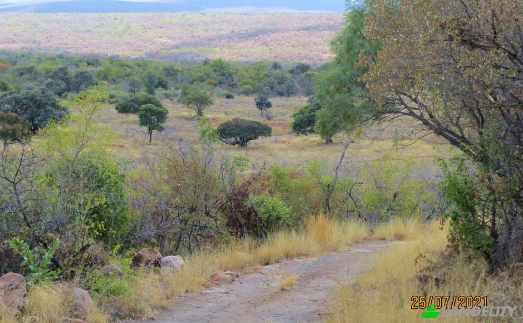 Land/Lot for Sale Waterberg District Municipality, Limpopo, South Africa. Photo 22