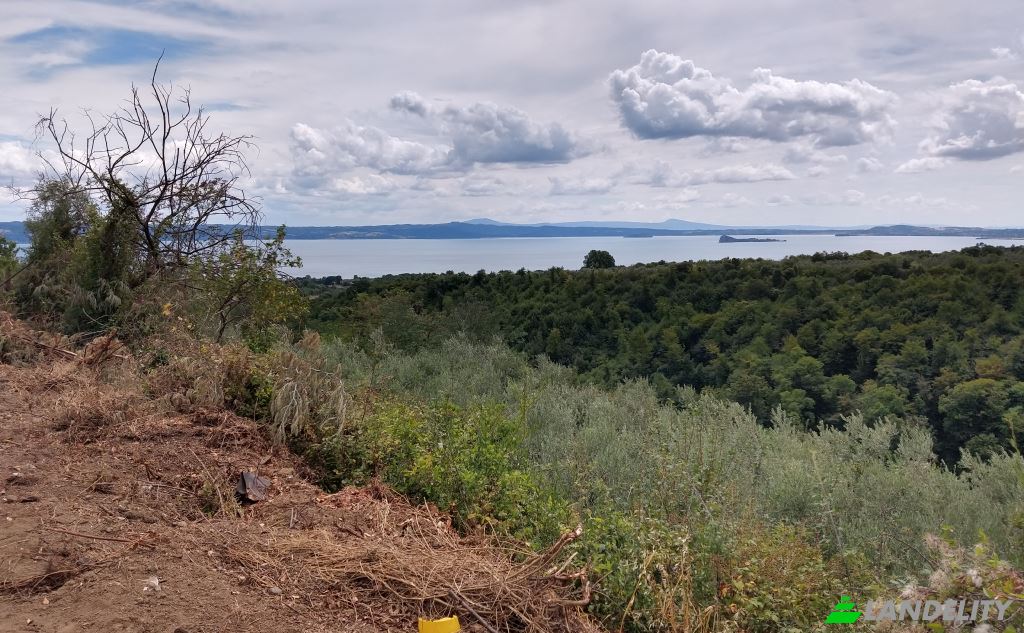 Земля/Ділянка продаж Via del Donatore di Sangue, 01010 Gradoli VT, Gradoli, Province of Viterbo, Lazio, Italy. Фото 1