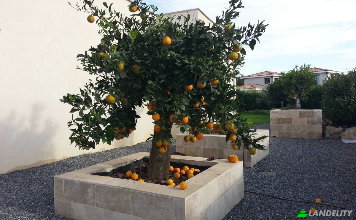 Villa for Sale 459 Chem Vignaux, 83310 Grimaud, Grimaud, Var, Provence-Alpes-Cote dAzur, France. Photo 3