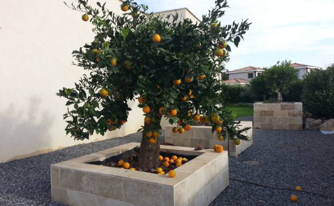 Villa for Sale 459 Chem Vignaux, 83310 Grimaud. Photo#3